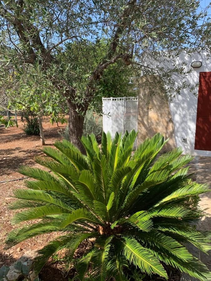 オストゥーニ Trullo Tojoヴィラ エクステリア 写真